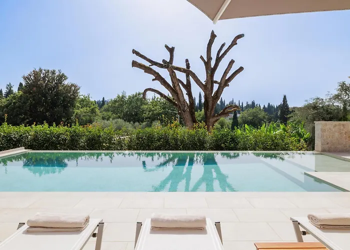 My Mediterranean Luxury With Swimming Pool Vila Kontokali